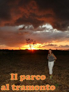 parco